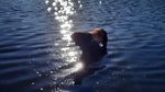 „Když je Finsko zemí tisíce jezer, byla by ostuda, kdyby si jeden aspoň pacičky nesmočil,“ rozumuje Charlie. (Černý labrador v oranžové vestičce stojí ve vodě, ale jen tak, aby si ani bříško nenamočil)