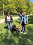 Pudl Uno s Mirkou a labrador Uno se Simčou