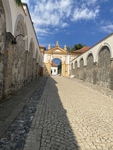 Obrázek