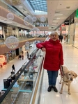 Na vánoční nákupy vyrazila do vyzdobeného obchodního centra nerozlučná slovenská dvojice Ivi + Ivi.