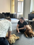 Masáž srdce. Jára se snaží, Zuzka ho instruuje, Raf to má pod kontrolou. Masáž srdce. Jára se snaží, Zuzka ho instruuje, Raf to má pod kontrolou.