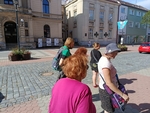 Obrázek