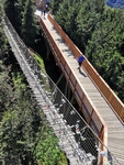 Provazový most na Valašské stezce