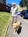 Na trase je nejstarší účastník Antonín s blonďákem Ginem – chtělo by se říci „GIN S TONiKEM“ 😊 Na trase je nejstarší účastník Antonín s blonďákem Ginem – chtělo by se říci „GIN S TONiKEM“ 😊