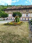 Obrázek