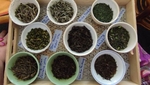 Na fotografii je tác se vzorky čajů, sušené čajové lístky