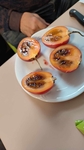 Tamarillo - rajčenka 