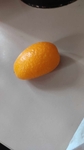 Kumquat 