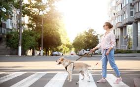 přehled činnosti 2025 obrázek